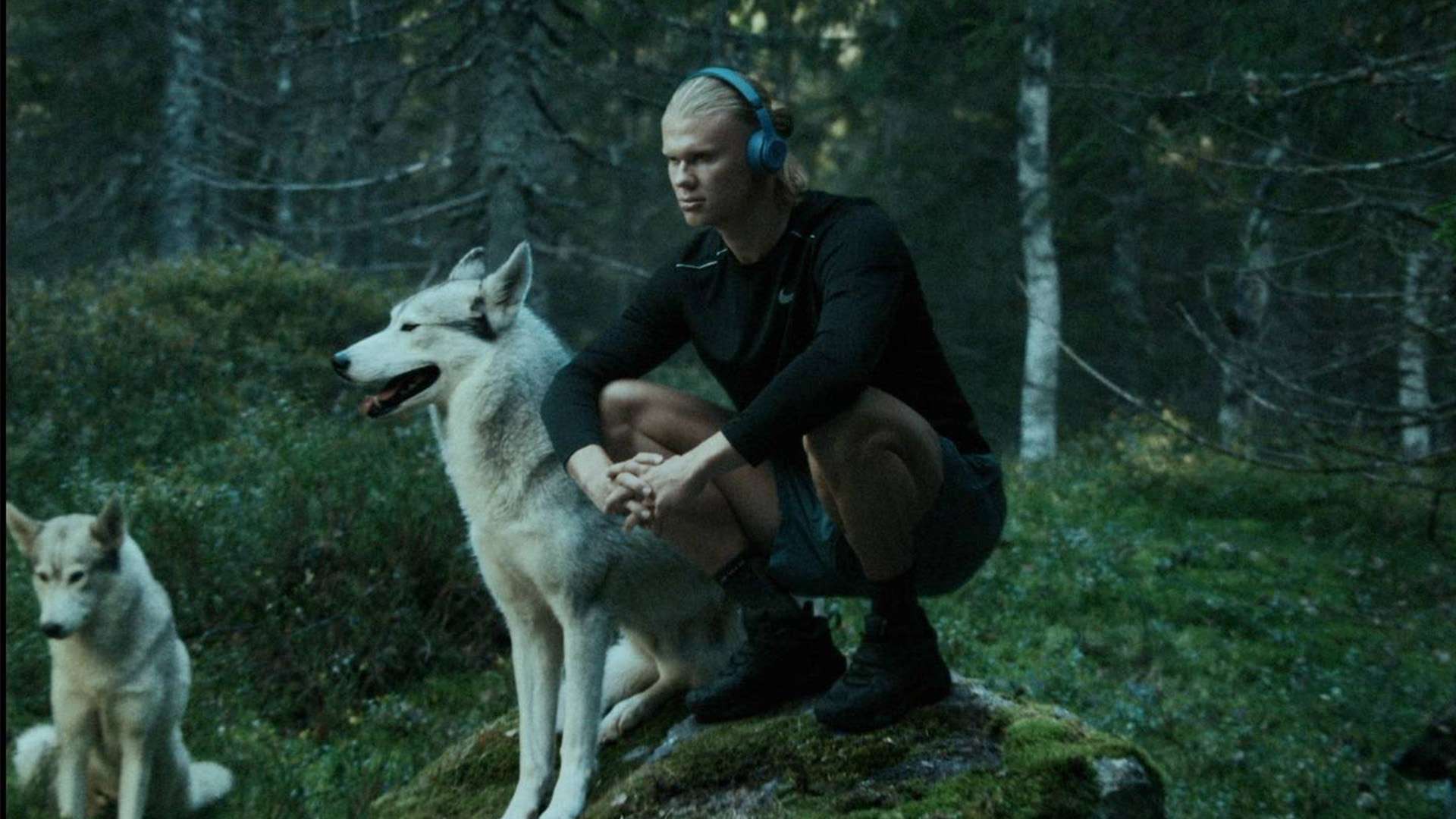 员的薪水普 员的薪水普