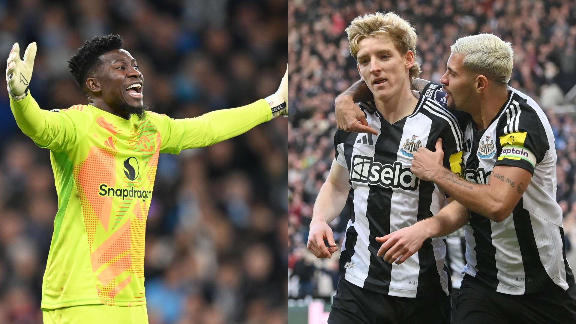 而不仅仅是 而不仅仅是