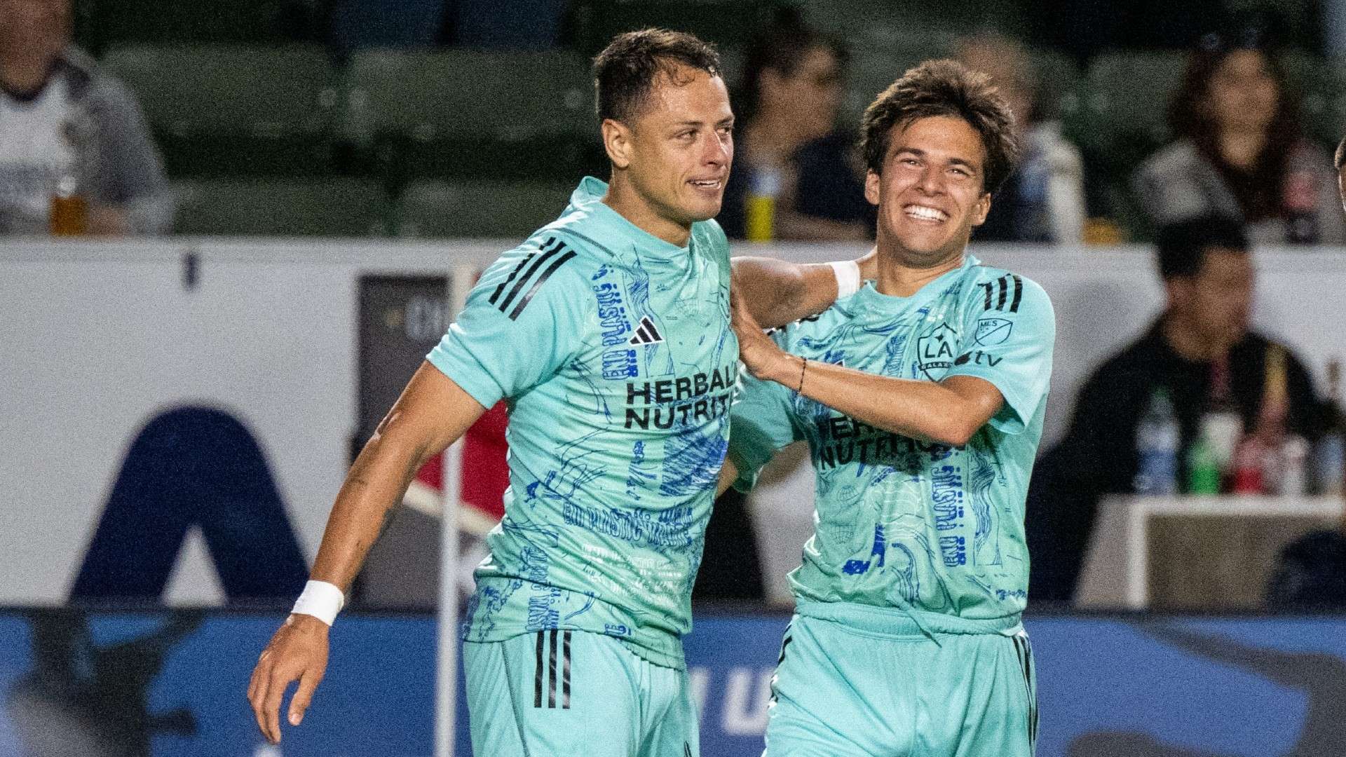 顿防线的一 顿防线的一